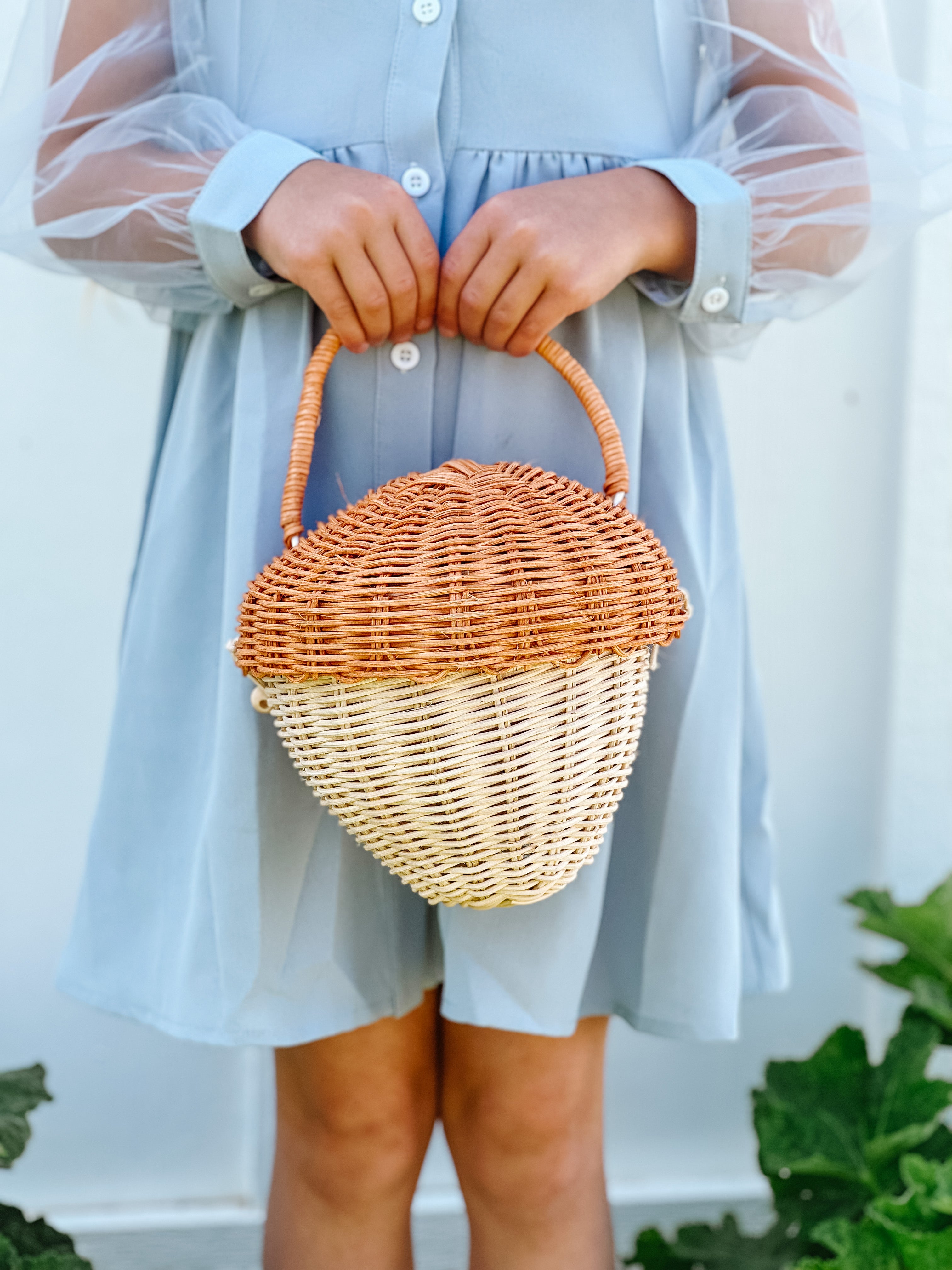 Acorn basket bag